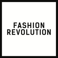 Introducción a Fashion Revolution