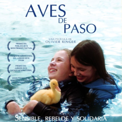 Aves de paso - Guía didáctica