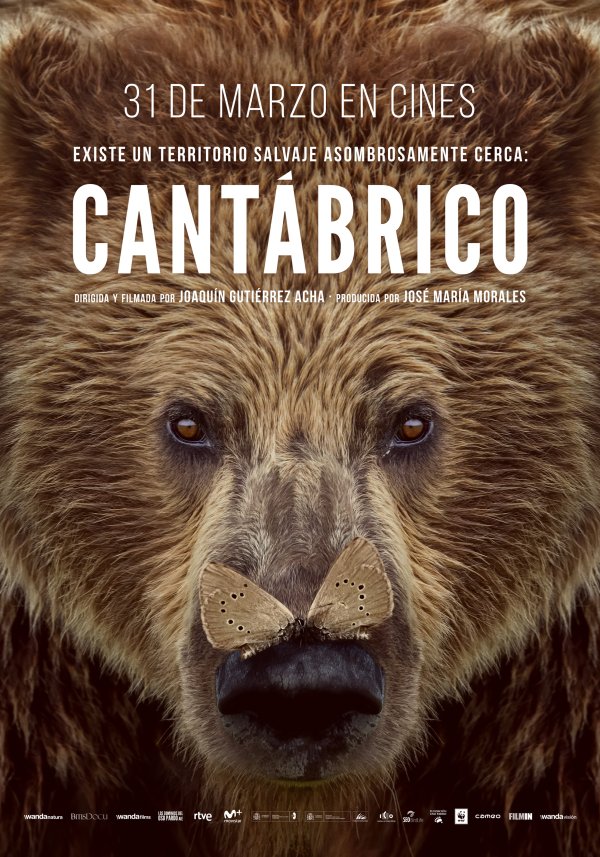 Cantábrico