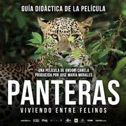 Panteras: Guía didáctica
