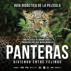 Panteras: Guía didáctica