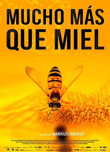 Mucho más que miel